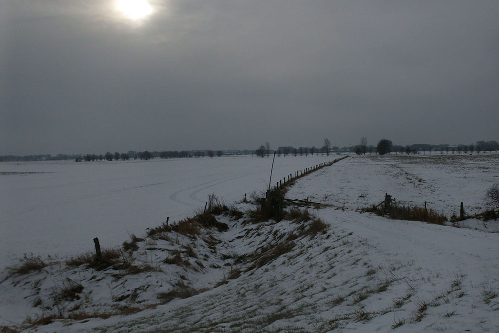 Schneebedeckte Felder